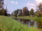 Działka nad rzeką Wkrą 7200 m2 - 6