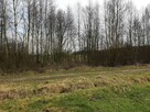 sprzedam działki rekreacyjne - 3