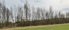 sprzedam działki rekreacyjne - 2