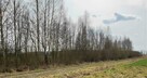 sprzedam działki rekreacyjne - 4
