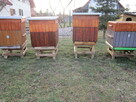 pszczoly ule odklady pszczele - 4