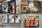 Strony www WordPress Grafik komputerowy FV - 7