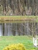 ,,Siedlisko żurawi, Domek letniskowy - 7