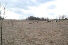 Atrakcyjna działka nad Jeziorem Kukowino! - 8