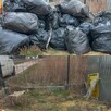 Wycinka Drzew Karczowanie Działek Utylizacja Gałęzi Wywóz - 9
