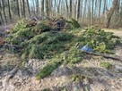 Wycinka Drzew Karczowanie Działek Utylizacja Gałęzi Wywóz - 11