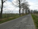 TANIE, DUŻE DZIAŁKI POD ZABUDOWĘ JEDNORODZINNĄ BLISKO KUTNA - 9