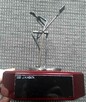 Golfiarz metaloplastyka - 3