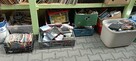 Płyty winylowe, gramofonowe tanie, LP, CD, Maxi Singe, kasety - 5