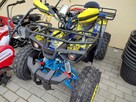 Quad Beretta 125CC Bull RATY - 2