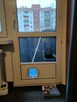 Drzwiczki dla kota psa montaż w oknie drzwiach - 4