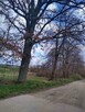 działka na sprzedaż - 4