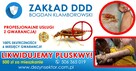 Pluskwy Świnoujście. Zwalczamy pluskwy w Świnoujściu - 3