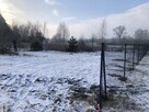 Działka rekreacyjna Świętne gmina Wilczyn. - 4