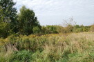 Będzin osiedle Zamkowe. Działka 1200 m2.
