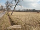 Działka Dąbrowa Górnicza Łęka wynajem - 3