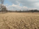 Działka Dąbrowa Górnicza Łęka wynajem - 2
