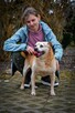 BISKIT cudny wesoły dziadzio BŁAGA o ratunek - 3