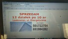 SPRZEDAM 12 DZIALEK PO 10 AR KAŻDA LASKOWIEC - 2