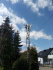 Wycinka drzew , rębakowanie, koszenie traw - 6