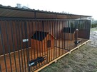 Kojec dla psa! Klatka Box! Zapraszam!! - 7