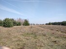 Sprzedam działkę budowlaną - 3