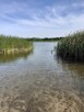 Mazury.Domek letniskowy do wynajęcia. - 2