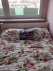 Kołobrzeg noclegi kwatera apartament wakacje centrum wynajem - 7