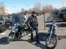 Sprzedam Harleya Road Kinga rok 2012 - 3