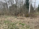 Działka blisko Bugu, 40 minut od Warszawy - 2