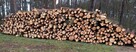 drewno papierówka S2 26m3 wałki 2,5m - 1
