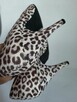 Szpilki leopard Cool Girl rozmiar 38 - 7