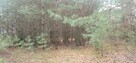 Duża działka z linią brzegową nad Bugiem k/Wyszkowa - 6