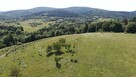 Sprzedam działkę rolną 7,39 ha, Dolnoś. gm. Leśna, Pobiedna - 6