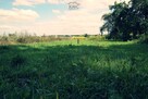 Działka budowlana Nasutów gm. Niemce - 1