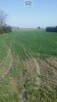 Działka rolno-budowlana Jakubowice Konińskie gm. Niemce - 3