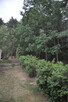 Pokój - 3