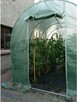 TUNEL foliowy OGRODOWY zielony UV4 3x2x2m 6m2 - *Promocja!* - 4