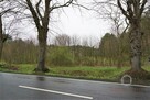 Działka w Łęgowie - przy drodze wojewódzkiej - 5