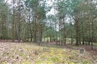 Działka na terenie otoczonym lasem - Nowe Kurowo - 5