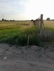 Działka budowlane w Olimpinie k.Przyłęk 12km od Bydgoszczy - 2