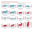 Pastuch elektryzator ogrodzenie elektryczne i akcesoria - 6