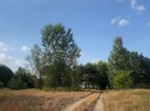 Działka rolna 8700m szer 19,5m Ossów Kobyłka - 2