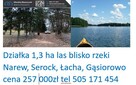 Działka 1,3 ha Zabraniec Okuniew Wołomin - 2