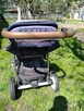 Wózek dziecięcy Baby Design Dotty 2w1 - 4