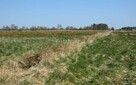 Na sprzedaż działka budowlana nad morzem, Smołdziński Las - 10