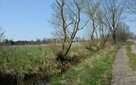 Na sprzedaż działka budowlana nad morzem, Smołdziński Las - 15