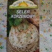 Sadzonki flance pomidorów i inne sadzonki warzyw i krzewów - 9