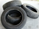 Opony zimowe Cintinental ContiWinter Contact TS800 185/60 R1 - 10