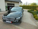 Mercedes E 200 Bezwypadkowy , oryginał , jeden właściciel , patrz opis , foto 40 szt - 7